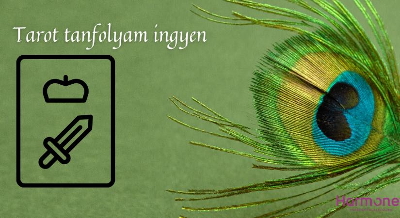 Kardok Királynője - Udvari kártyák a tarot kis arkánumában
