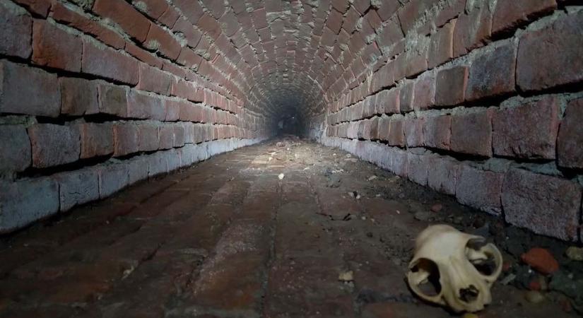 Titkos alagút: Apponyi-téglák, lőszerek, focilabda – különös lelet került elő a föld alól! (galériavideó)