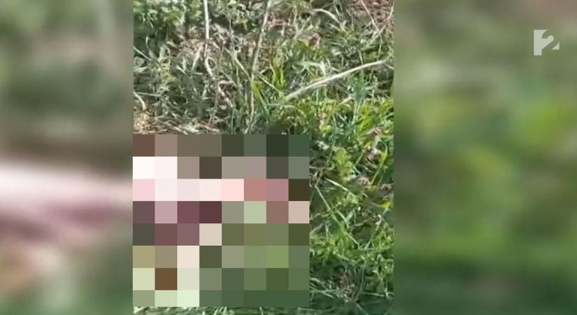 Felkavaró videó: borzalom, mit rejtettek a zsákok a borsodi falu mellett