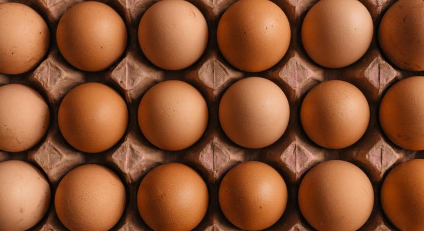Komoly áremelkedéssel várja a húsvétot a tojás és a torma