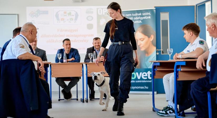 Véget vetnénk az állatkínzásoknak – az egész vármegye összefog az állatvédelemért