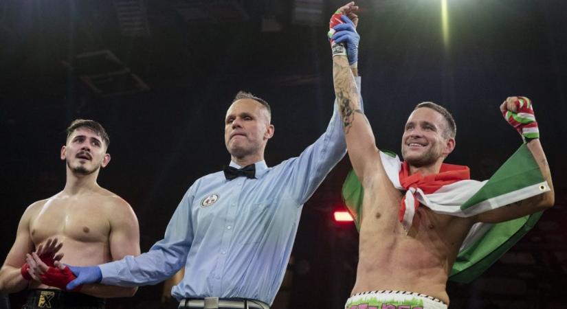 Istenes Bence idén is ringbe száll a Hell Boxing Kingsben