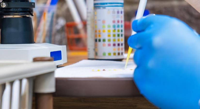 Mit jelent a nitrit érték a laborleleten?