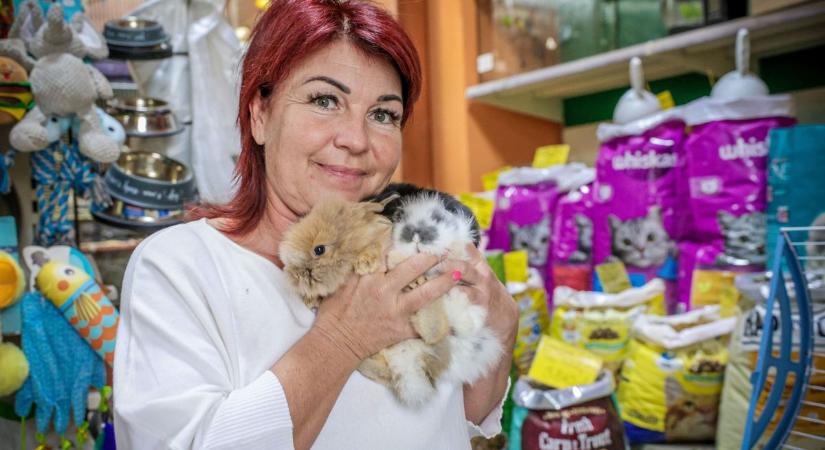 Idén is bérelhetünk nyuszikat a húsvéti ünnepekre
