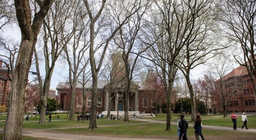A Harvard immár az adómentességével játszik, politikai szereplőként szavaznátok? – kérdez vissza Trump