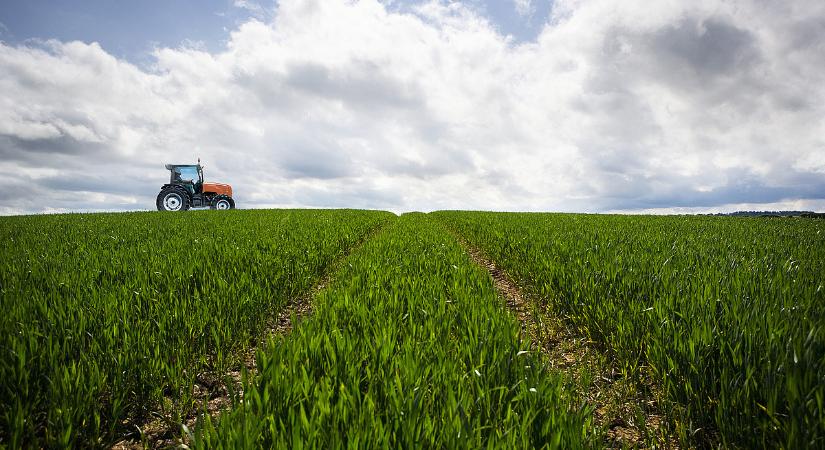 Nem rizikóznak: elmarad az agrárkamara rendezvénye a száj- és körömfájás miatt