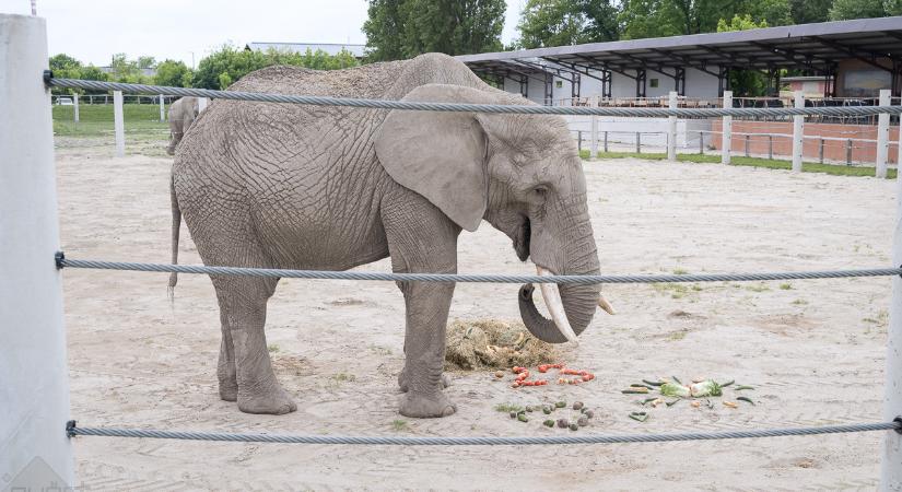 A rendkívüli helyzet folytatódik – Kifutón túl
