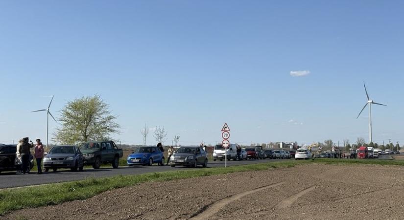 Kártalanítást követel Bábolna a Magyar Államtól a területén elföldelt 5500 szarvasmarha tetem miatt