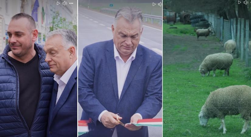 Birkák is szerepelnek Orbán Viktor videójában