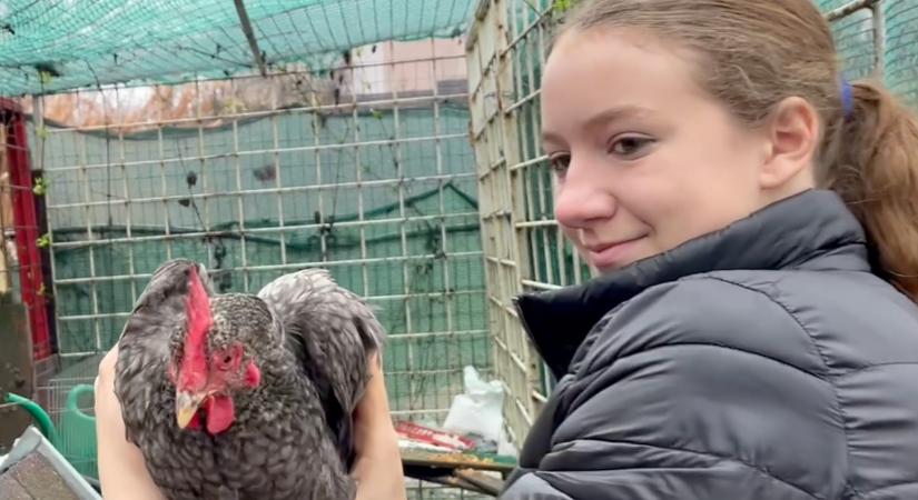 Második látogatás Vikinél a tanyán