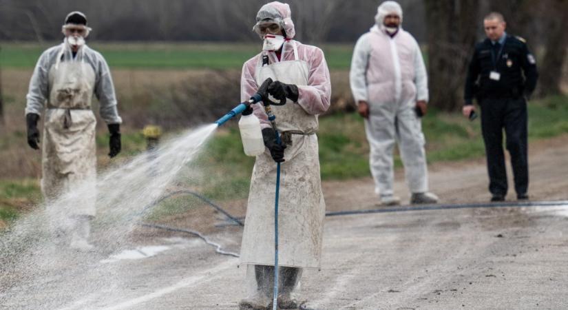 Volt már példa száj- és körömfájást okozó laborszökevényre
