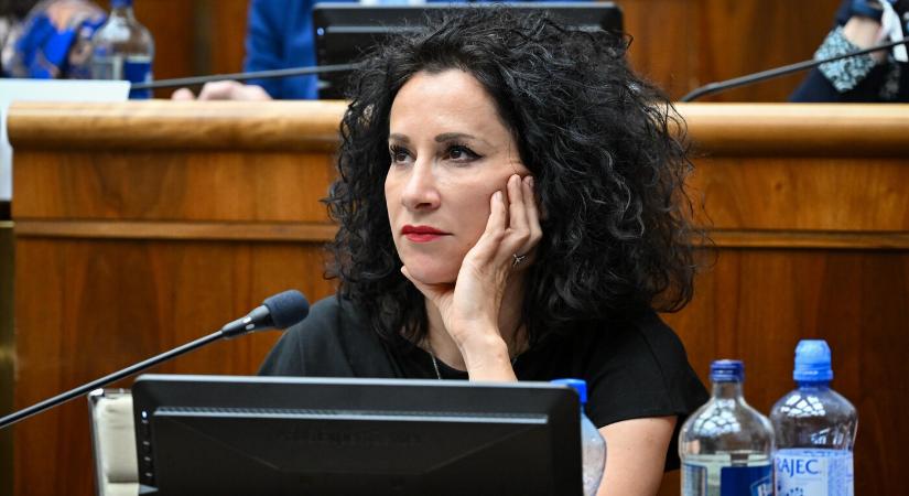 A PS kritizálja a FPU-ban kialakult helyzetet, a párt szerint nem működik az alap