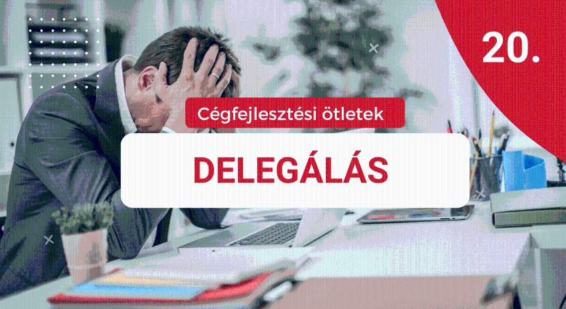 Cégfejlesztési ötlet 20.: Delegálás. A feladatok legyenek elvégezve