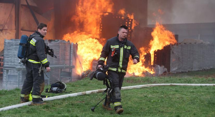 Megdöbbentő fejlemények: kiderülhet, mi volt a tűz oka a kadarkúti gesztenyeüzemben