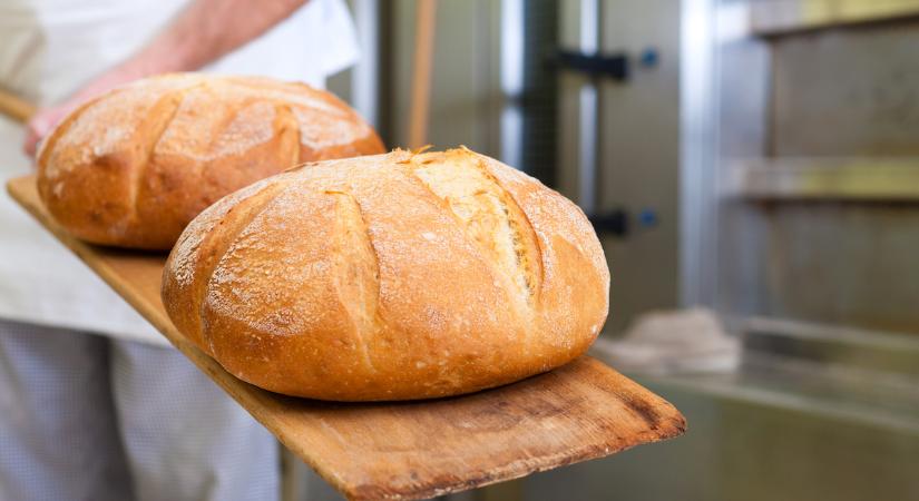 Tovább fejlődnek a hazai élelmiszeripari vállalkozások