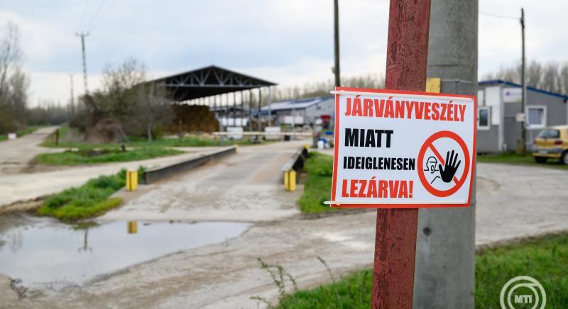 Ragadós száj- és körömfájás: nem múlt el a veszély