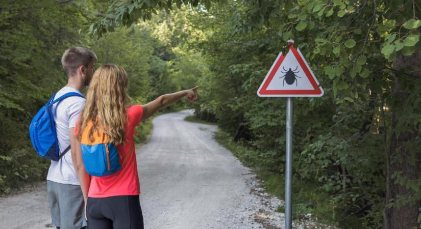 Kullancsriadó – Így készüljünk fel a mutáns invázióra!