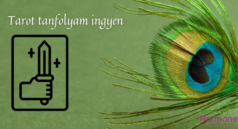 Kardok Apródja - Udvari kártyák a tarot kis arkánumában
