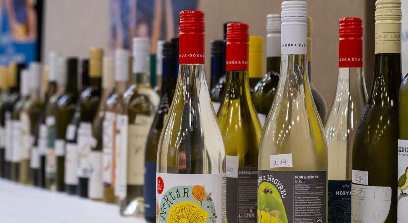 Palackba zárt diadal — mutatjuk a legjobb zalai borokat