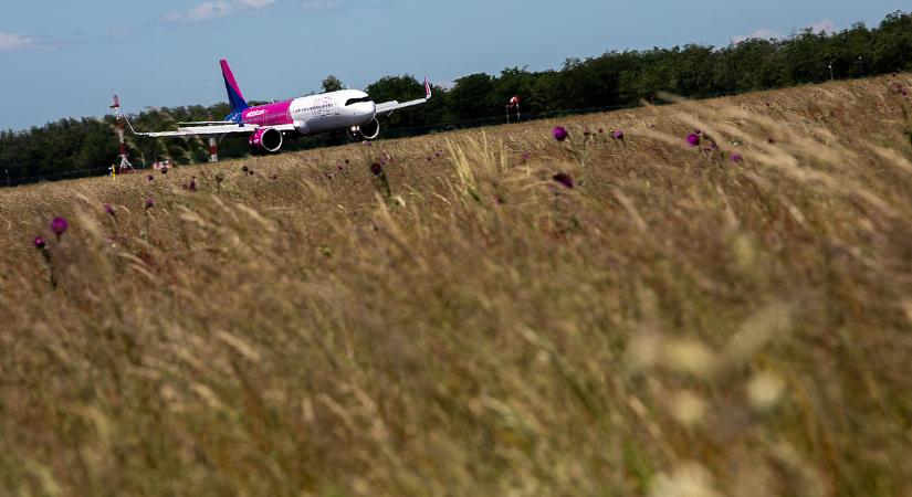 Katonai reptéren szállt le a Wizz Air gépe, ez áll a háttérben