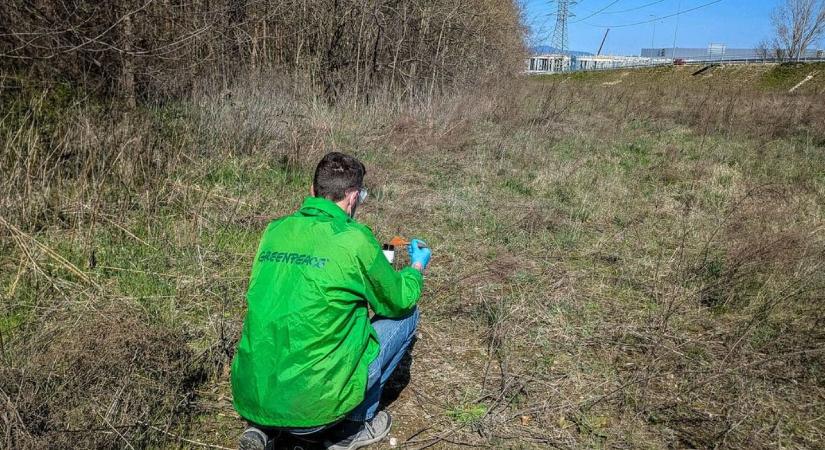 Nikkelszennyezést talált a Greenpeace a gödi Samsung-gyár környékén
