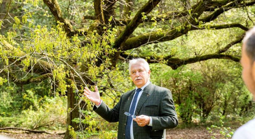 A Budakeszi Arborétumban a kutyusokra is gondoltak