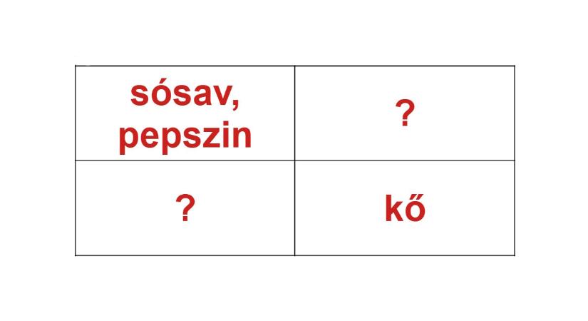 Műveltségi teszt: mi illik a 4 kérdőjel helyére? Ha még rémlik a gimis tananyag, ez 25 másodperc alatt menni fog!