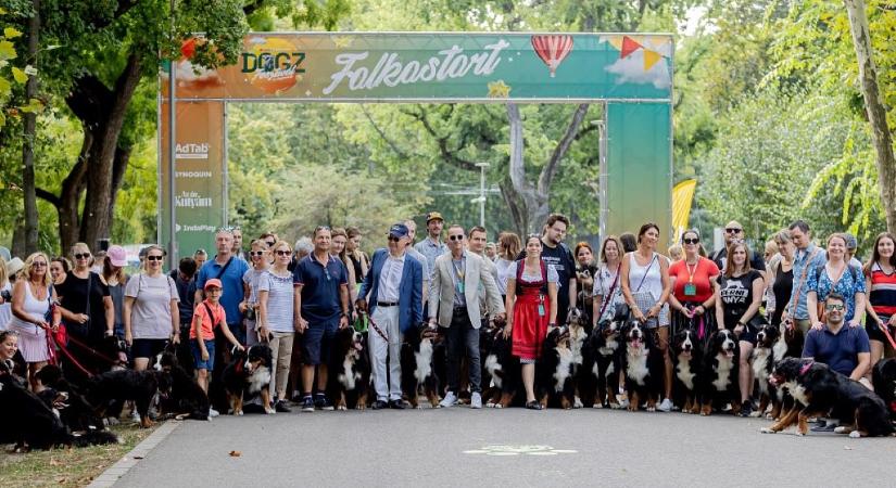 Programdömpinggel készül a Dogz Fesztivál