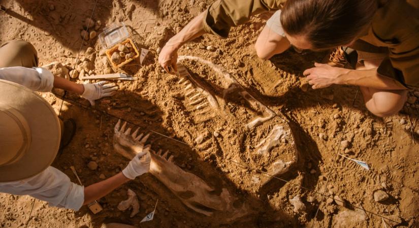 Gyerekmészárlás Bugacon: szörnyű titkot rejtett a föld  videó