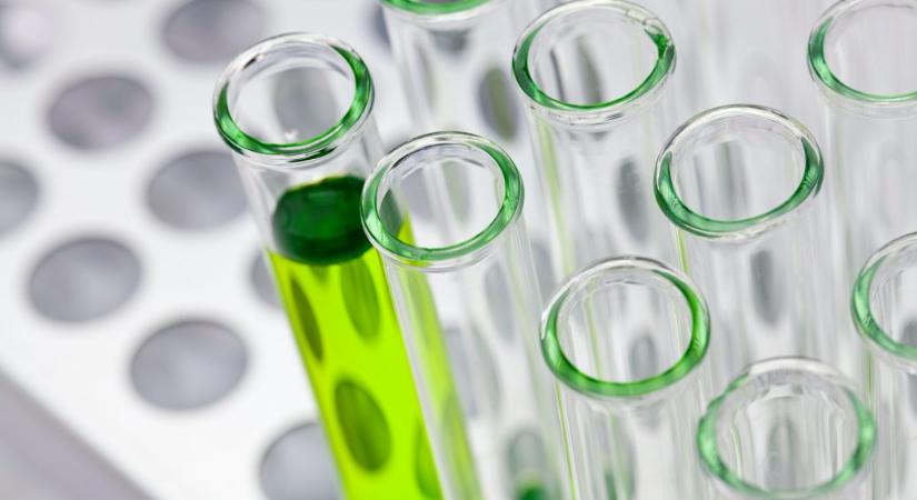 Hollandiában a klinikák évtizedek óta megsértik a sperma adományozás szabályait