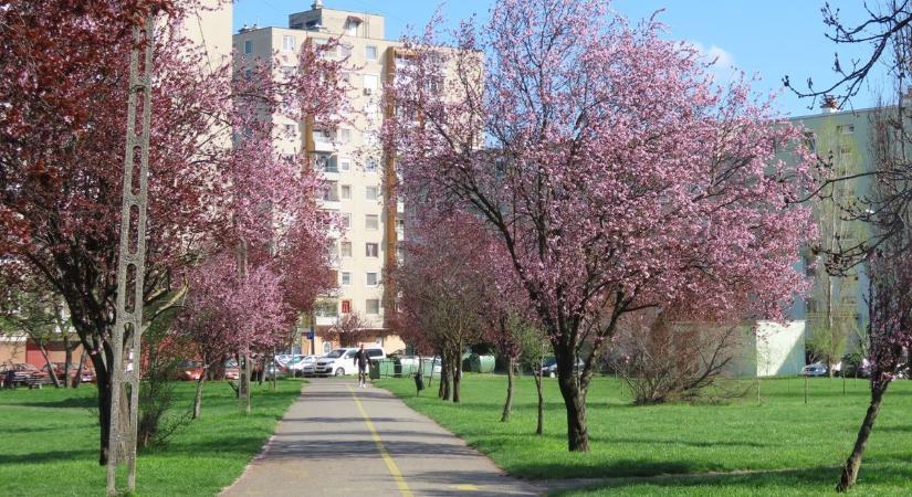 Izgalmas programok várnak szerte az országban a hosszú szünet alatt