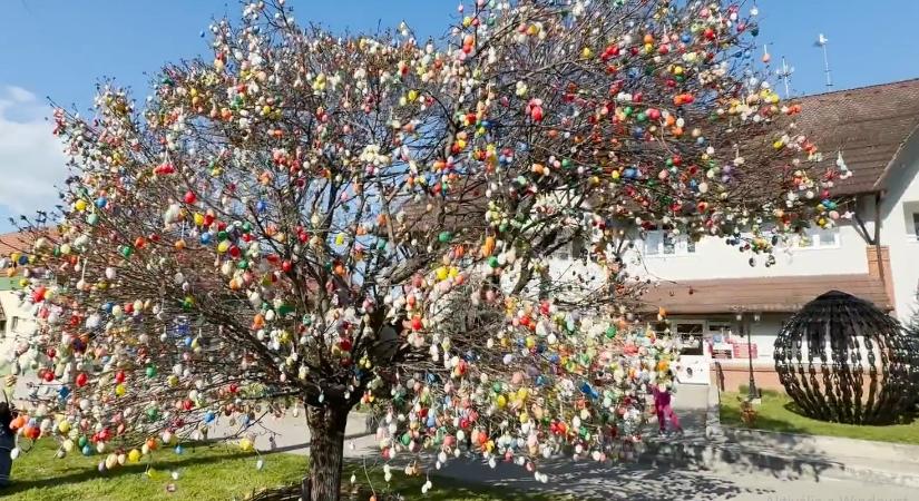 Húsvéti varázslat Kéthelyen: Tízezernyi tojás díszíti a jubileumi tojásfát