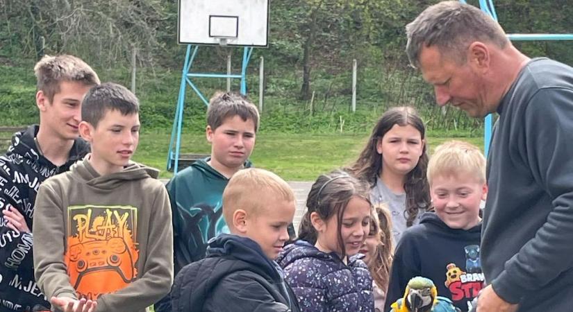 A beszélő papagáj tenyérből evett