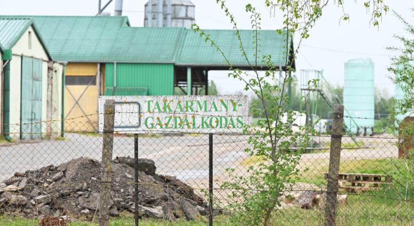 Elkezdték a rábapordányi állattartó telep felszámolását