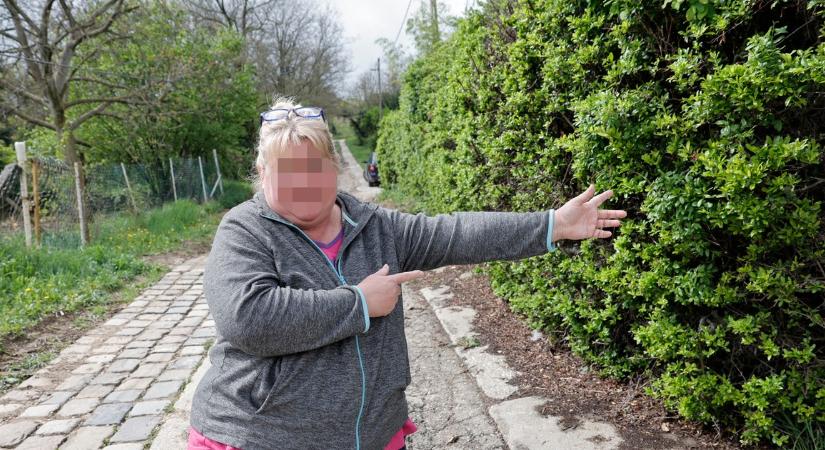 Újabb fejlemények: békésen alvó családra tört rá a kommandó Törökbálinton - Eltévesztették a házszámot, a jó helyen viszont elfajultak a dolgok