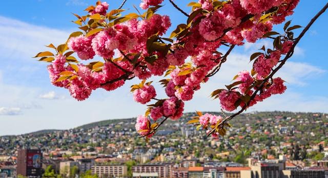 Idén húsvétkor merülj el Budapest rejtett csodáiban