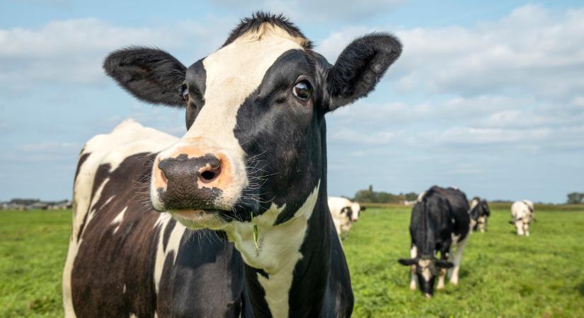 Újra megszólalt Nagy István agrárminiszter: nagyon fontos, hogy ezt batartsuk a járványban