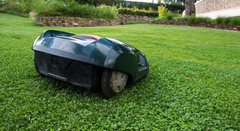 A legjobb robotfűnyírók 2025-ben – Ajánlások és tanácsok