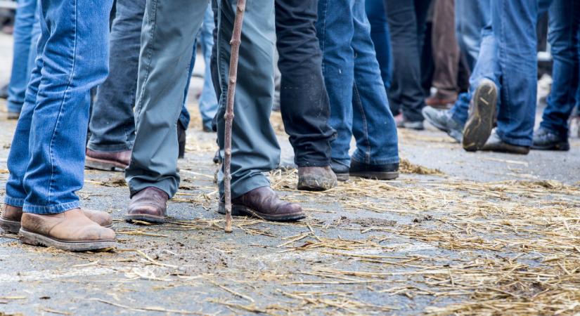Pereszteg forrong: a helyiek nem kérnek a helyiek az állati tetemekből