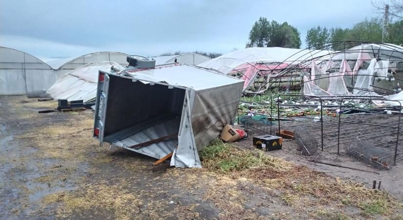 Orkánerejű éjszakai vihar döntött romba egy soltvadkerti kertészetet (FOTÓK)