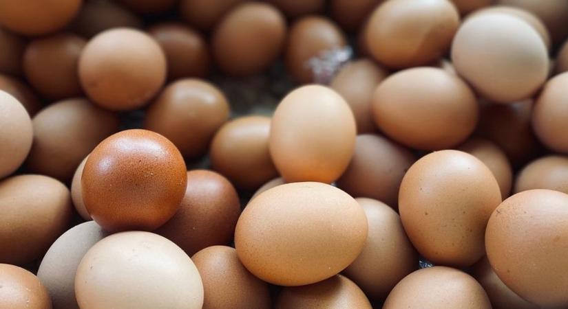 Ezek az élelmiszerek az egészséges táplálkozás alapjai