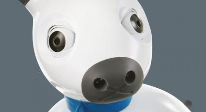 Látássérült embereken segít egy kínai robot