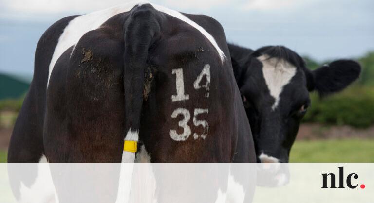 Borzalmas új őrület terjed a tetoválás helyett, a bőrgyógyászok fogják a fejüket