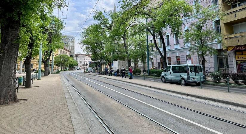 Elege lett a kátyúból, forradalmi műalkotássá változtatta