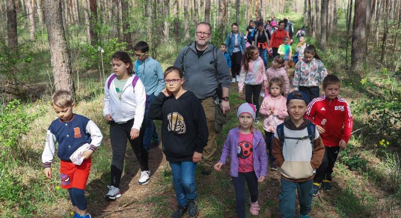 Kincseket rejt az ásotthalmi erdő, csak le kell hajolni érte – galériával