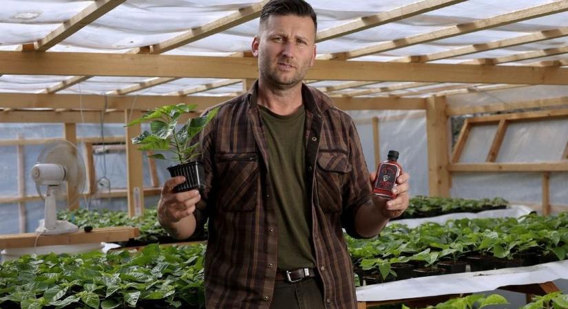 Teher alatt nő a pálma: így lett vállalkozóból chili király Bárdos Viktor