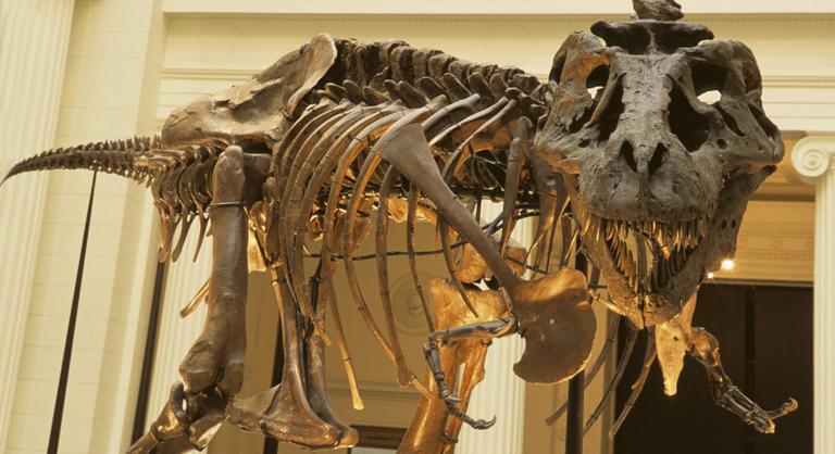 Mégsem aszteroida okozhatta a dinoszauruszok vesztét, új elmélet született