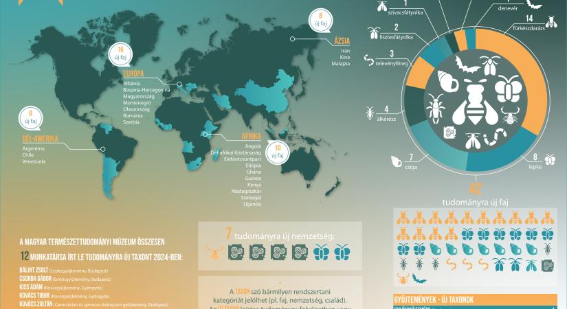A BIODIVERZITÁS-KUTATÁS ÚJDONSÁGAI 2024-BEN A MAGYAR TERMÉSZETTUDOMÁNYI MÚZEUMBAN