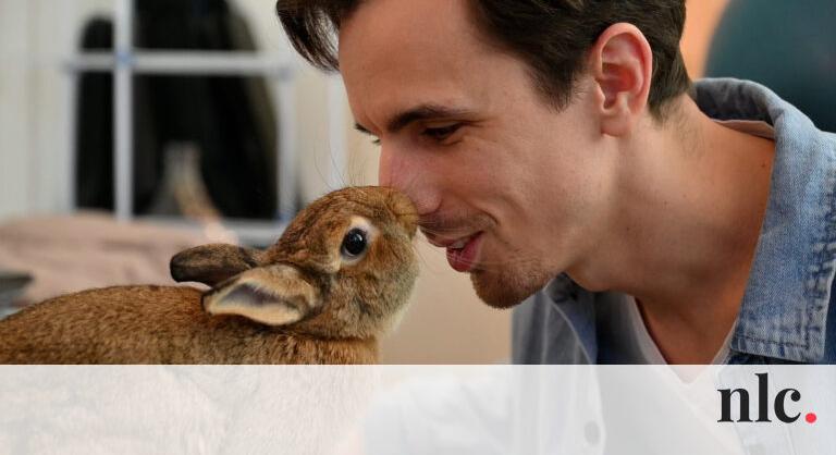 Kiakad a cukiságmérőd: Pamacs, a magyar törpenyuszi az egész világot elkápráztatja!