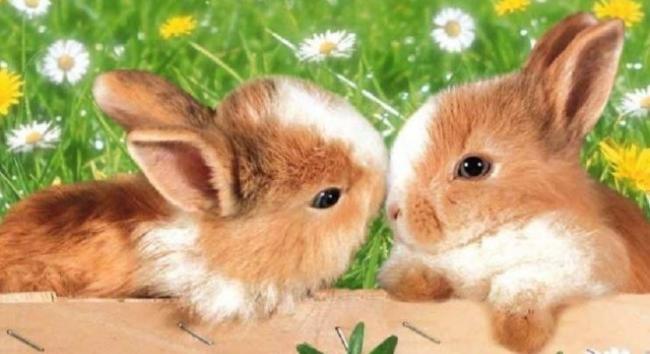 Hogy kapcsolódik a húsvéti nyúl és a tojásfestés a húsvéti ünnephez?